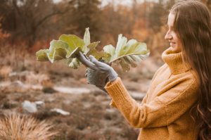 Is Narcissism Genetic Understanding the Link Between Nature and Nurture