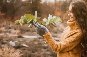 Is Narcissism Genetic Understanding the Link Between Nature and Nurture